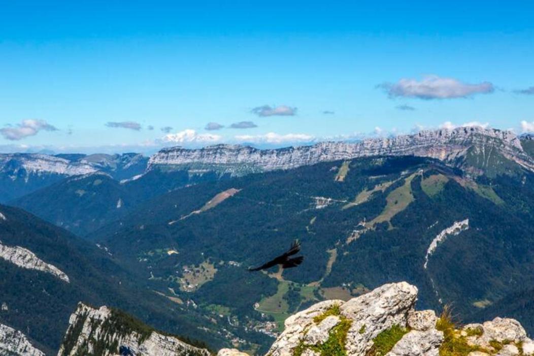 Le Mas Dauphinois Le Grand-Lemps Экстерьер фото